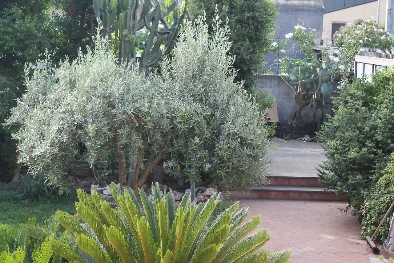 Bouganville Catania